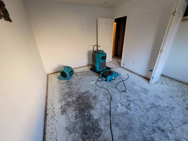 Best Water damage repair service  in Clintwood, VA