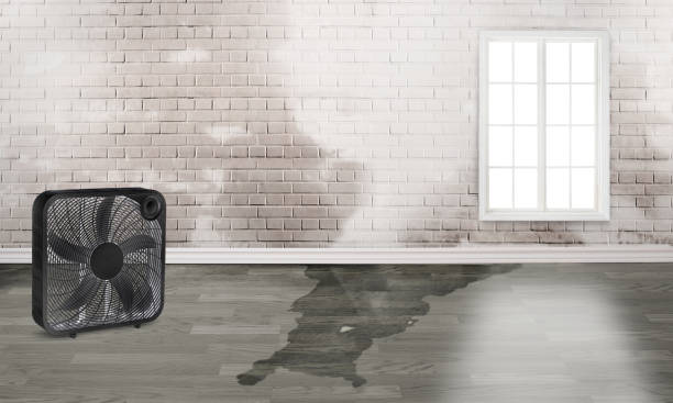 Best Water damage restoration near me  in Clintwood, VA