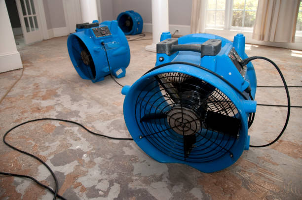 Best Water damage restoration near me  in Clintwood, VA