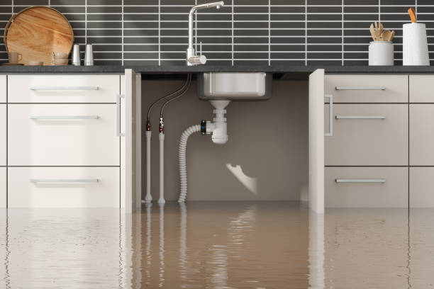 Best Water damage contractors near me  in Clintwood, VA