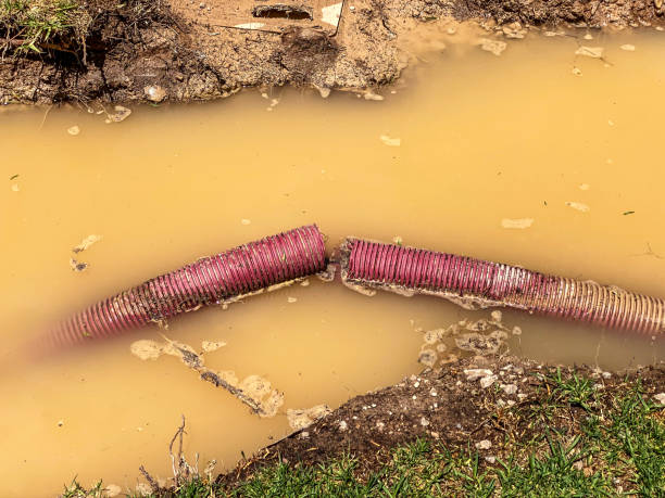 Best Local water damage restoration  in Clintwood, VA