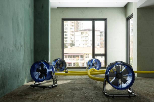 Best Professional water damage repair  in Clintwood, VA